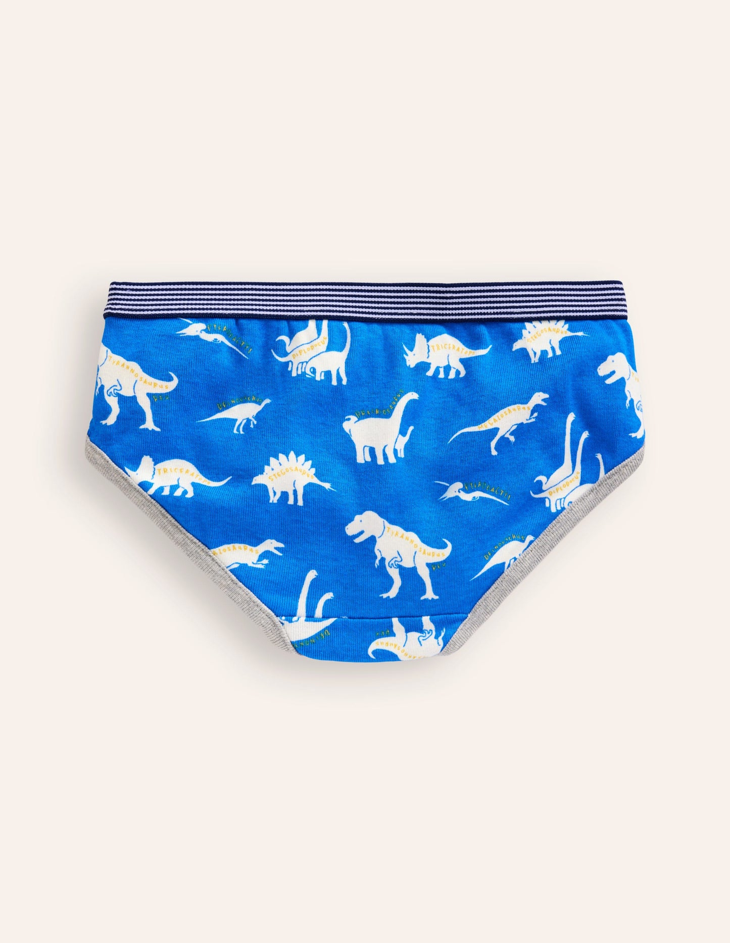 Underwear 5 Pack-Multi Dino Wordle