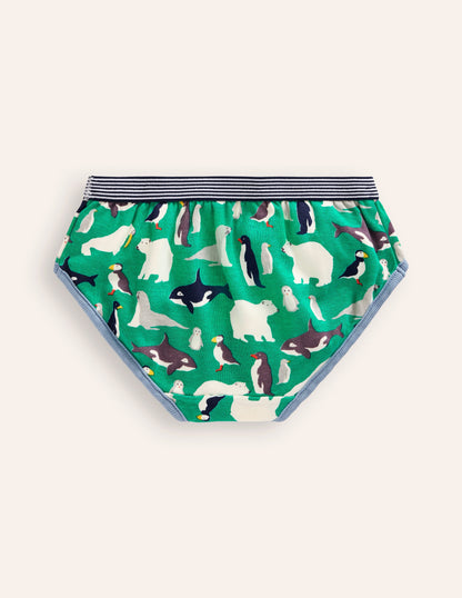 Underwear 5 Pack-Multi Arctic