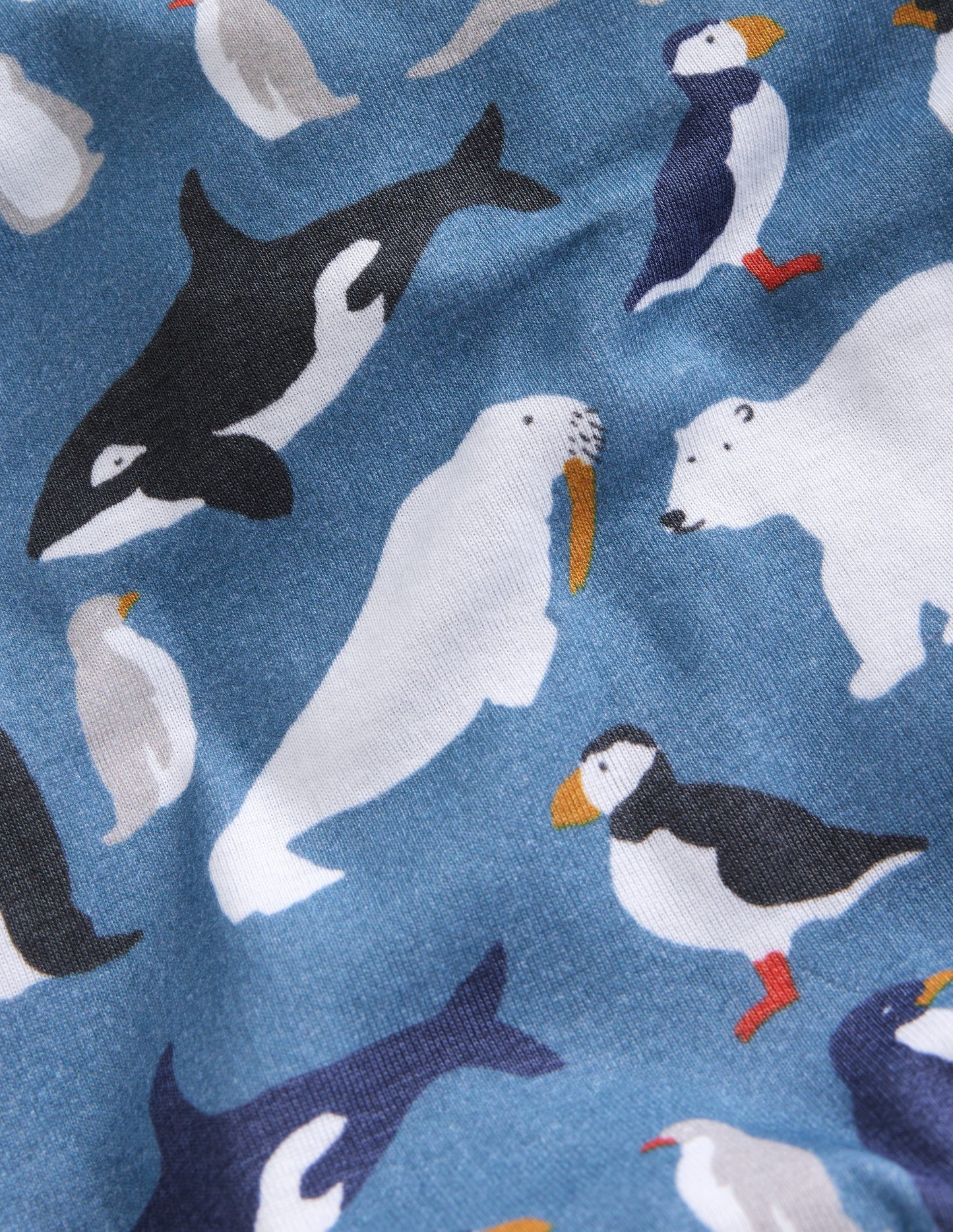 Snug Twin Pack Pyjamas-Blue Artic Animals and Stripe